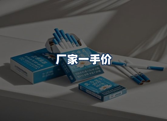 专业团队办公环境